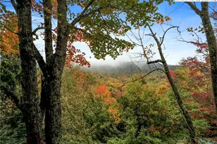 122 & 124 Lower Grouse Ridge Rd, Beech Mountain, NC 28604 - Photo 49