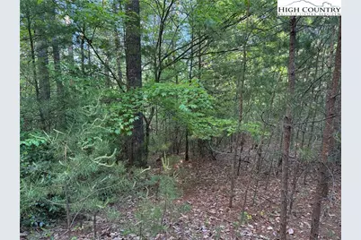 Lot 27 Wolf Pen Road, Purlear, NC 28665 - Photo 15