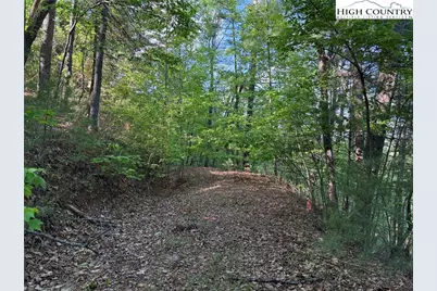 Lot 27 Wolf Pen Road, Purlear, NC 28665 - Photo 5