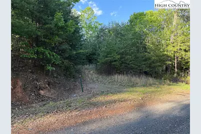 Lot 27 Wolf Pen Road, Purlear, NC 28665 - Photo 21