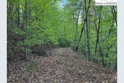 Lot 27 Wolf Pen Road, Purlear, NC 28665 - Photo 7