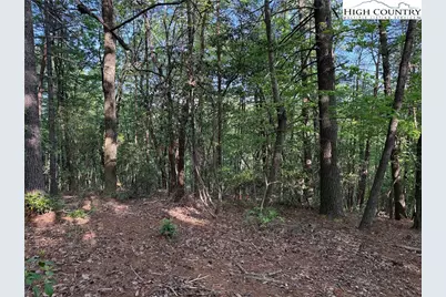 Lot 27 Wolf Pen Road, Purlear, NC 28665 - Photo 17