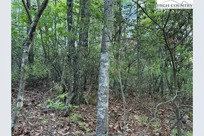 Lot 27 Wolf Pen Road, Purlear, NC 28665 - Photo 9