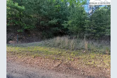 Lot 27 Wolf Pen Road, Purlear, NC 28665 - Photo 19