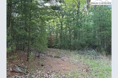 Lot 27 Wolf Pen Road, Purlear, NC 28665 - Photo 9