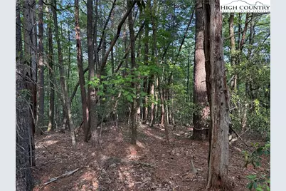 Lot 27 Wolf Pen Road, Purlear, NC 28665 - Photo 17