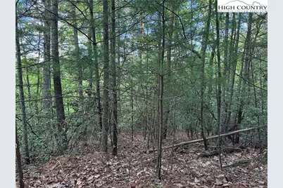 Lot 27 Wolf Pen Road, Purlear, NC 28665 - Photo 13