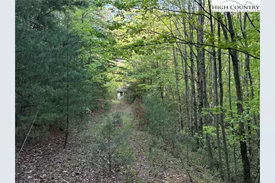 Lot 27 Wolf Pen Road, Purlear, NC 28665 - Photo 7