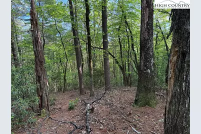 Lot 27 Wolf Pen Road, Purlear, NC 28665 - Photo 3