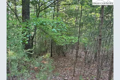 Lot 27 Wolf Pen Road, Purlear, NC 28665 - Photo 11