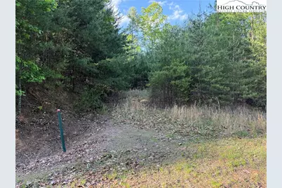 Lot 27 Wolf Pen Road, Purlear, NC 28665 - Photo 3