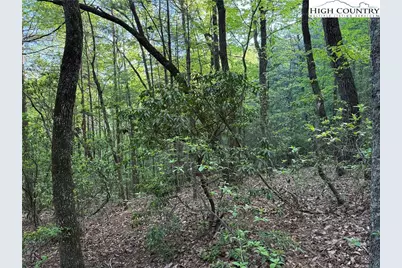 Lot 27 Wolf Pen Road, Purlear, NC 28665 - Photo 19