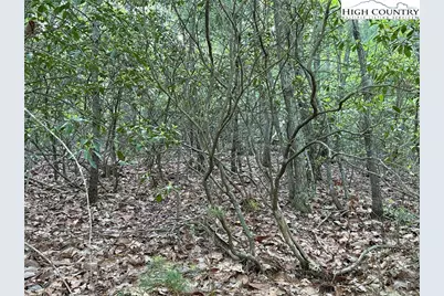 Lot 27 Wolf Pen Road, Purlear, NC 28665 - Photo 13