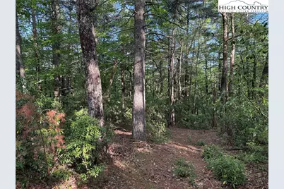 Lot 27 Wolf Pen Road, Purlear, NC 28665 - Photo 15