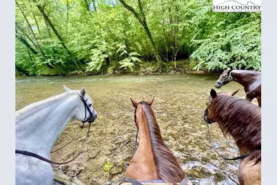 2013 Hitching Post Trail, Lenoir, NC 28645 - Photo 39