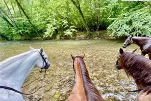 2013 Hitching Post Trl, Lenoir, NC 28645 - Photo 39