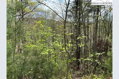 Tbd New River Overlook (Lot 11) Road, West Jefferson, NC 28694 - Photo 9