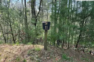Tbd New River Overlook (Lot 11) Rd, West Jefferson, NC 28694 - Photo 1