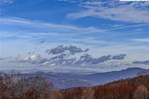 301 Pinnacle Inn Rd, Beech Mountain, NC 28604 - Photo 3