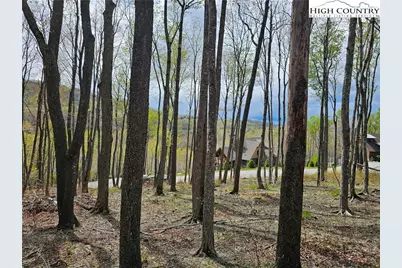 65 Rippling Waters Trail, Banner Elk, NC 28604 - Photo 7