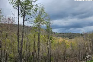 65 Rippling Waters Trail, Banner Elk, NC 28604 - Photo 1