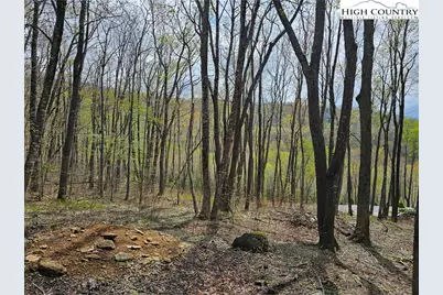 65 Rippling Waters Trail, Banner Elk, NC 28604 - Photo 13