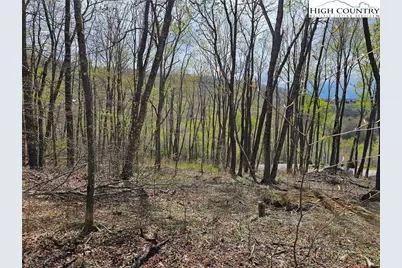65 Rippling Waters Trail, Banner Elk, NC 28604 - Photo 7