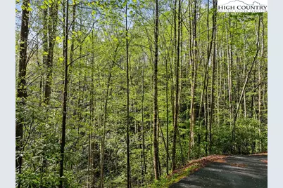 Tbd Springhollow Road, Banner Elk, NC 28604 - Photo 25