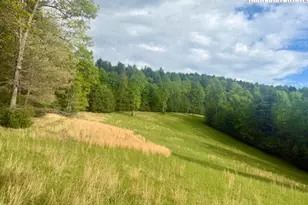 Tbd New Hope Church Rd, Laurel Springs, NC 28644 - Photo 1