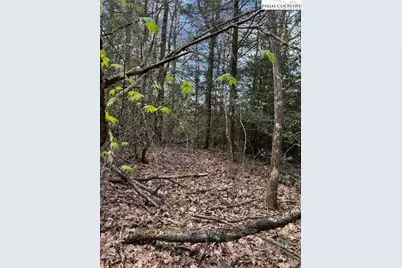 Tbd Lot 23 Black Bear Trail, Linville, NC 28646 - Photo 5