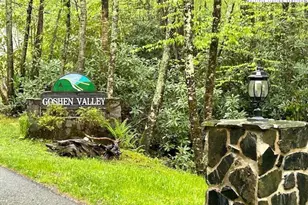 Tbd Goshen Dr, Boone, NC 28607 - Photo 1