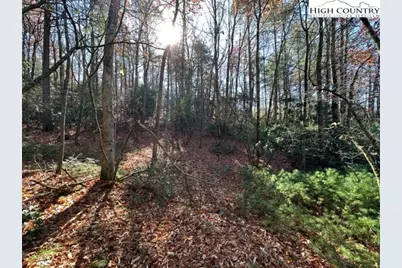 Lot 27 Walden Lane, West Jefferson, NC 28694 - Photo 1