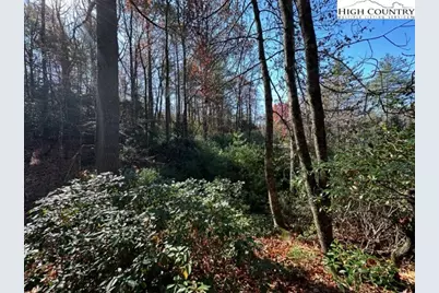 Lot 27 Walden Lane, West Jefferson, NC 28694 - Photo 5