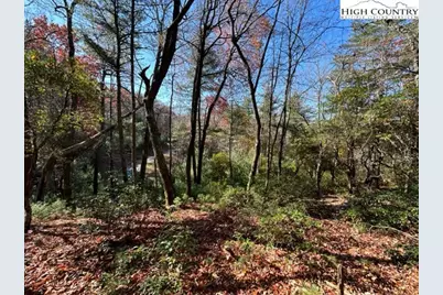 Lot 31 Thoreau Court, West Jefferson, NC 28694 - Photo 3