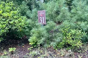 Lot 31 Thoreau Ct, West Jefferson, NC 28694 - Photo 1