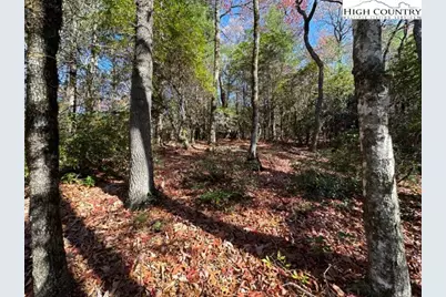 Lot 32 Thoreau Court, West Jefferson, NC 28694 - Photo 1