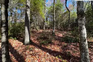 Lot 32 Thoreau Ct, West Jefferson, NC 28694 - Photo 1