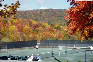569 Shelter Rock Cir, Sugar Mountain, NC 28604 - Photo 47