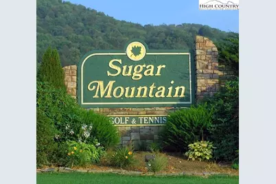 569 Shelter Rock Circle, Sugar Mountain, NC 28604 - Photo 45