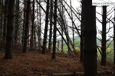 102 Tielcroft Road, Crumpler, NC 28617 - Photo 11