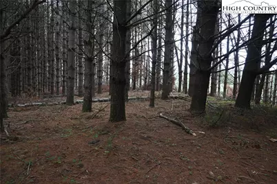 102 Tielcroft Road, Crumpler, NC 28617 - Photo 15