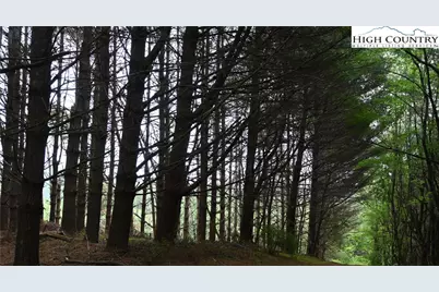 102 Tielcroft Road, Crumpler, NC 28617 - Photo 9