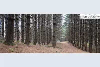 102 Tielcroft Road, Crumpler, NC 28617 - Photo 5