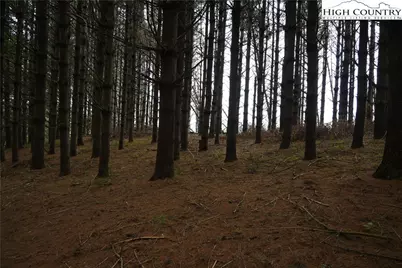 102 Tielcroft Road, Crumpler, NC 28617 - Photo 13