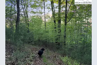 Lot 9 Sunrise Way, West Jefferson, NC 29694 - Photo 19