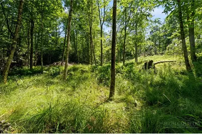 77 N Eagles Nest Trail, Banner Elk, NC 28604 - Photo 5