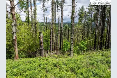 Wr-60 Clouds Rest Drive, Elk Park, NC 28622 - Photo 5