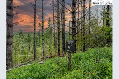 Wr-60 Clouds Rest Drive, Elk Park, NC 28622 - Photo 1