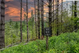 Wr-60 Clouds Rest Dr, Elk Park, NC 28622 - Photo 1