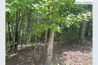 Lots 55 & 57 Meadow Crest Drive, Jefferson, NC 28640 - Photo 3